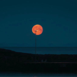 国V精品㊙️久久久网
